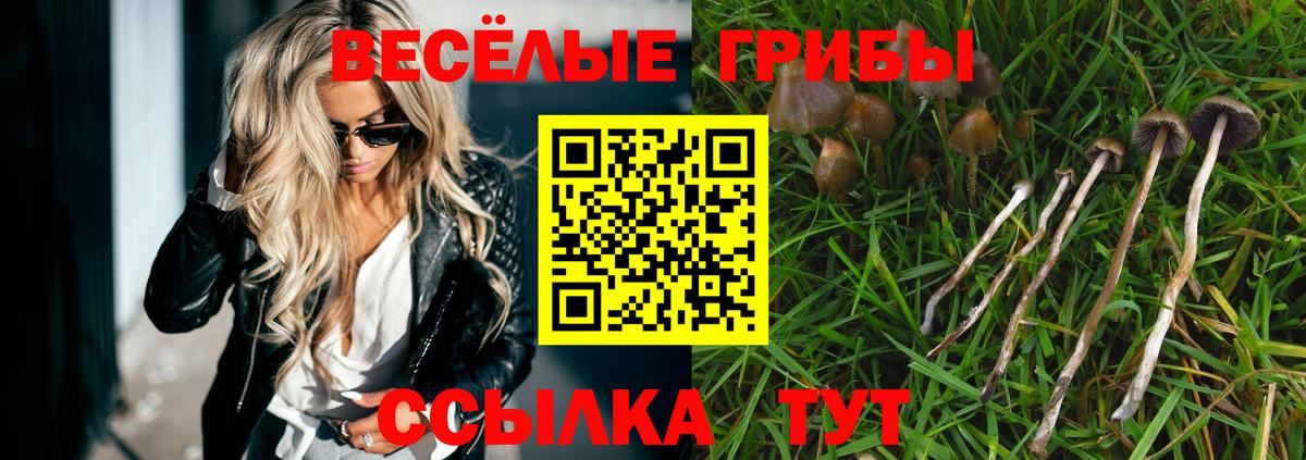 Псилоцибиновые грибы ЛСД Краснокаменск
